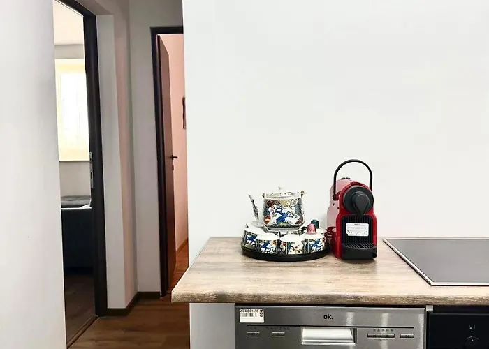 Apartment Rustic Brasov