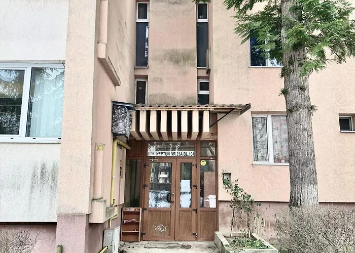 Apartment Rustic Brasov